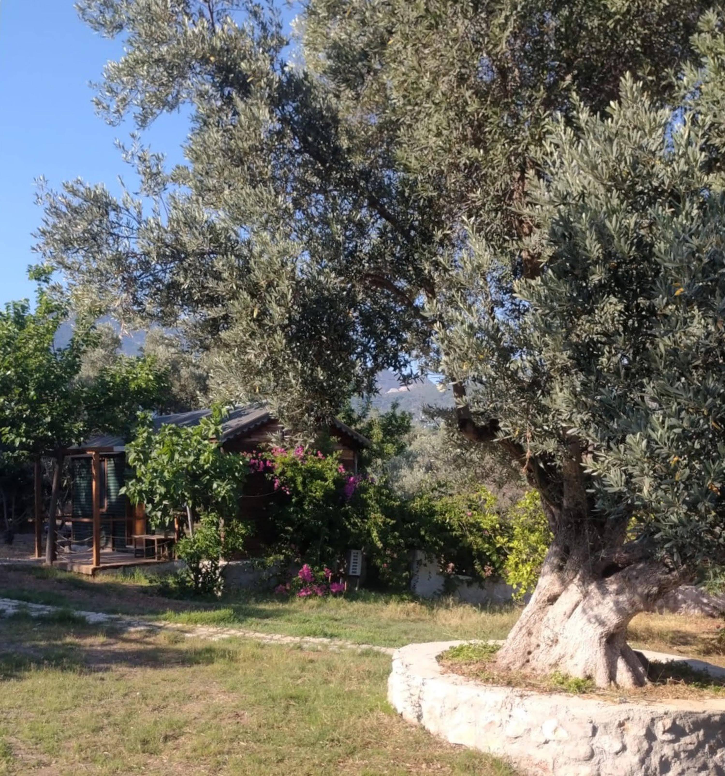 Hotel Bahar Bahce Datca Mesudiye  Exterior foto