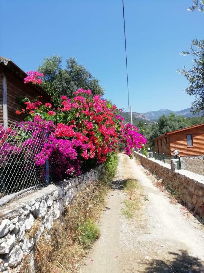 Hotel Bahar Bahce Datca Mesudiye  Exterior foto