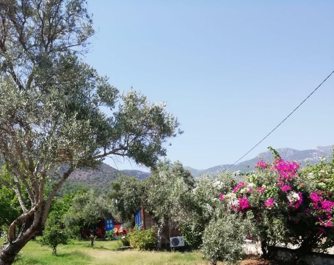 Hotel Bahar Bahce Datca Mesudiye  Exterior foto